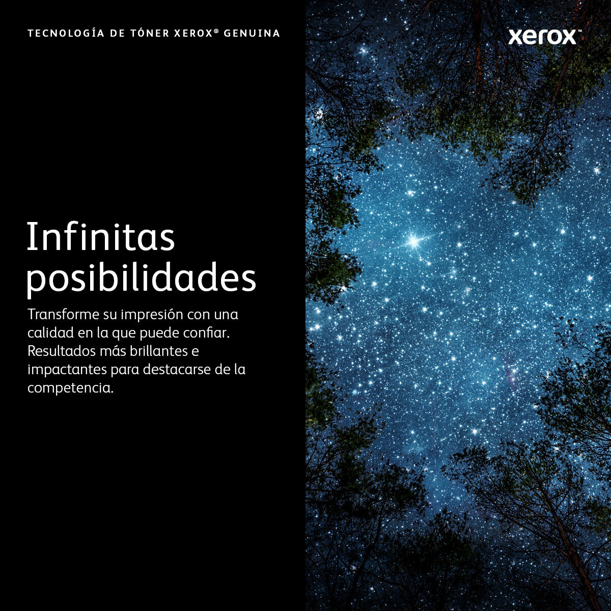 V1HBBC7AB7B79886519EC7C425B53C13357RP3