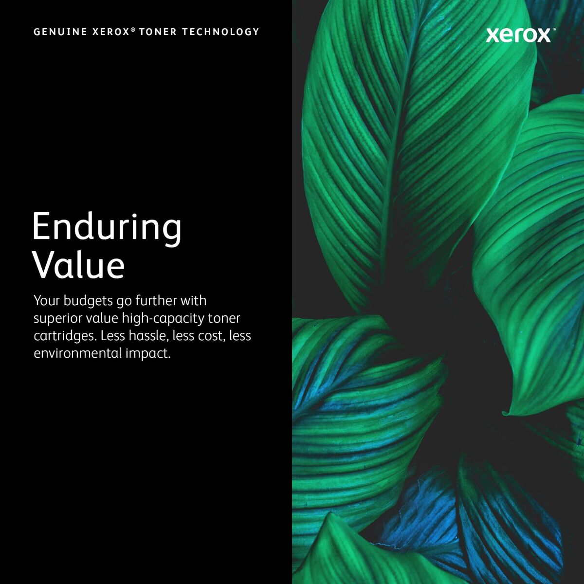 V1H43D9790C0B43373335BA7FC64C42388CRP10