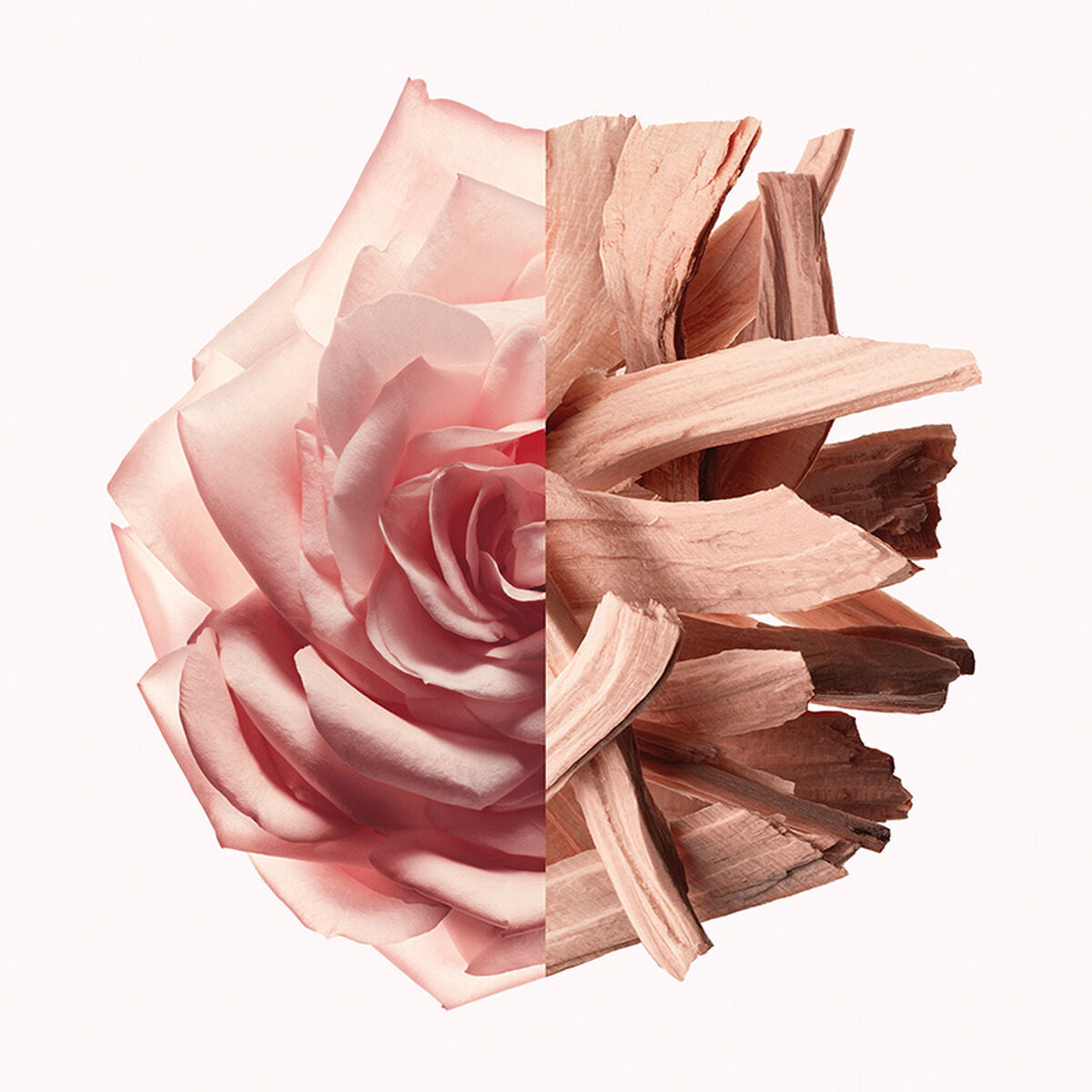 V2H1E33EF92A4181A37DFD1A3D2E9C96C73R7785822P7