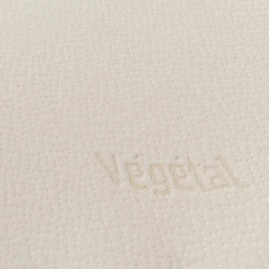 V6H92FEE1DE9C00FF9B65EB8E98D2BE644CR4997542P1