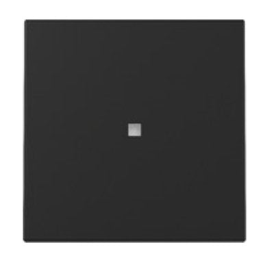 Gira 3290005 Tecla Tilting Kontrollf. System 55 Black M