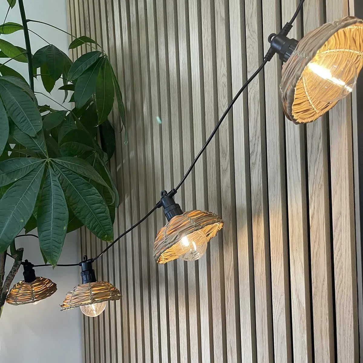 V6HF7CD97C0CE5A533A5F4B0DEC9C1A0168R4423966P7