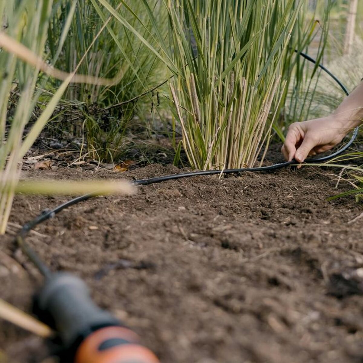 V6H8F6BBE86D8F2DBD9946050D5A0431DBDR7162883P3