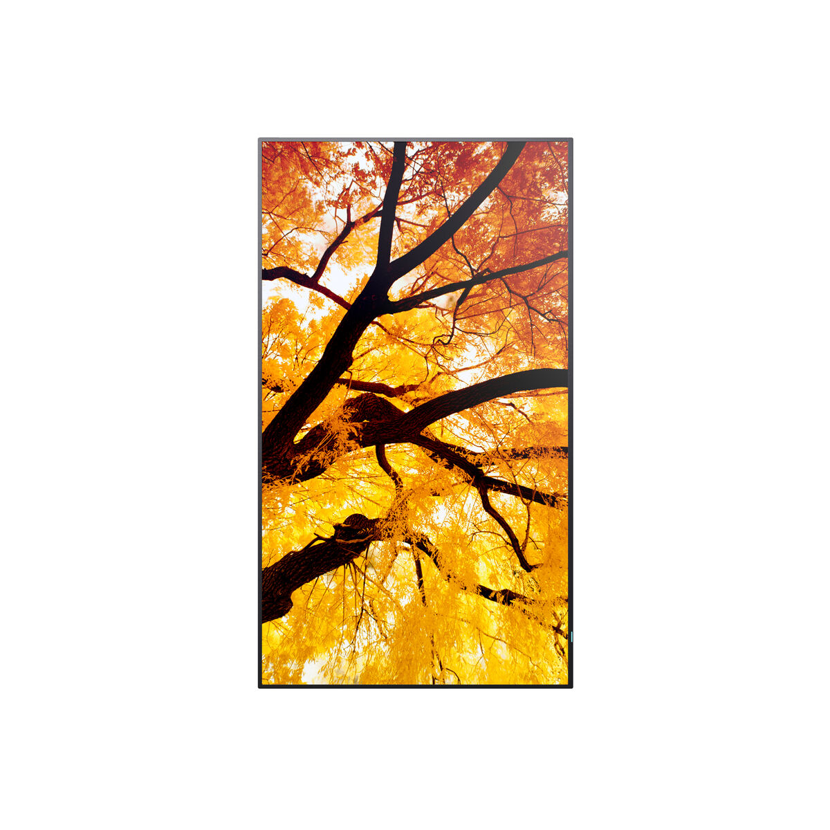 V4H15A614E4727623B6D1685010336360A5R7465289P8