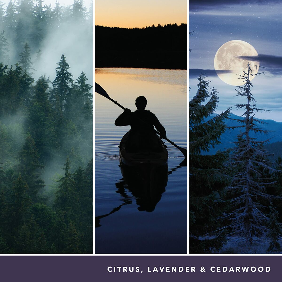 V5HE96DDD22F5BE123E4E1412749729BC9AR5778113P6