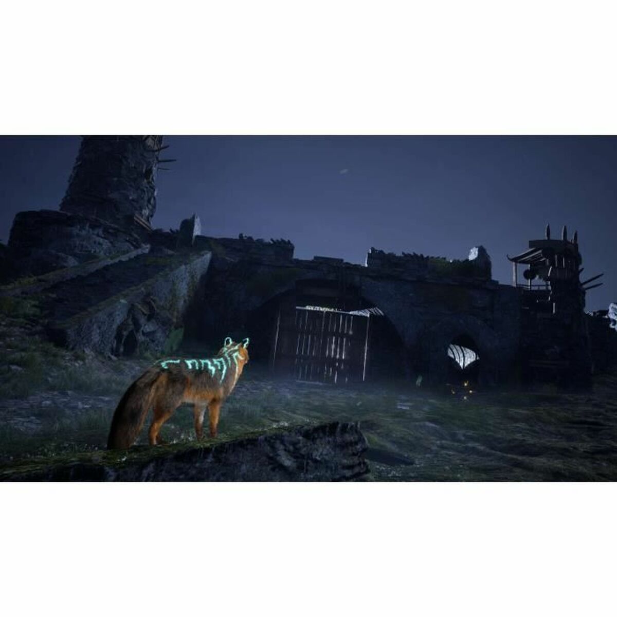 V5H2E9F50AC864487896FD076CC7C46630AR5781053P6