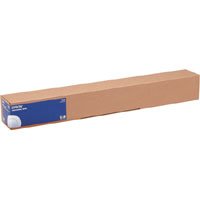 Epson Gf Photo Paper Gloss, 44 X 30.5M - 250G/M2