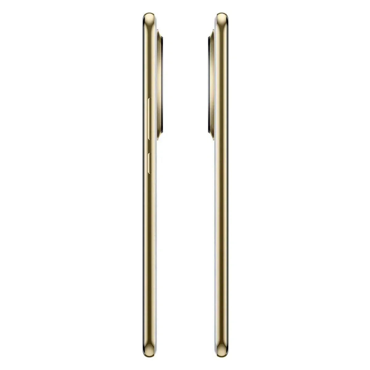 V10H1E91C362E9110E428A7DA983A97D02F2R7300421P8