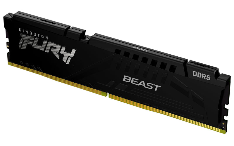 Kingston Memory Technology Fury Beast DDR5 8GB 1 X 8GB 5600MHZ