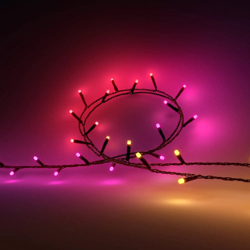 Philips Hue - Garland Festavia, Light White And Colours Adjustable 250 Micro Leds 20M, Resistant Water — image 1