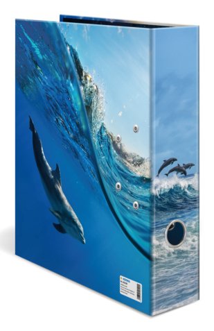 Herma Ring Binder A4 Cartón Delfin — image 1