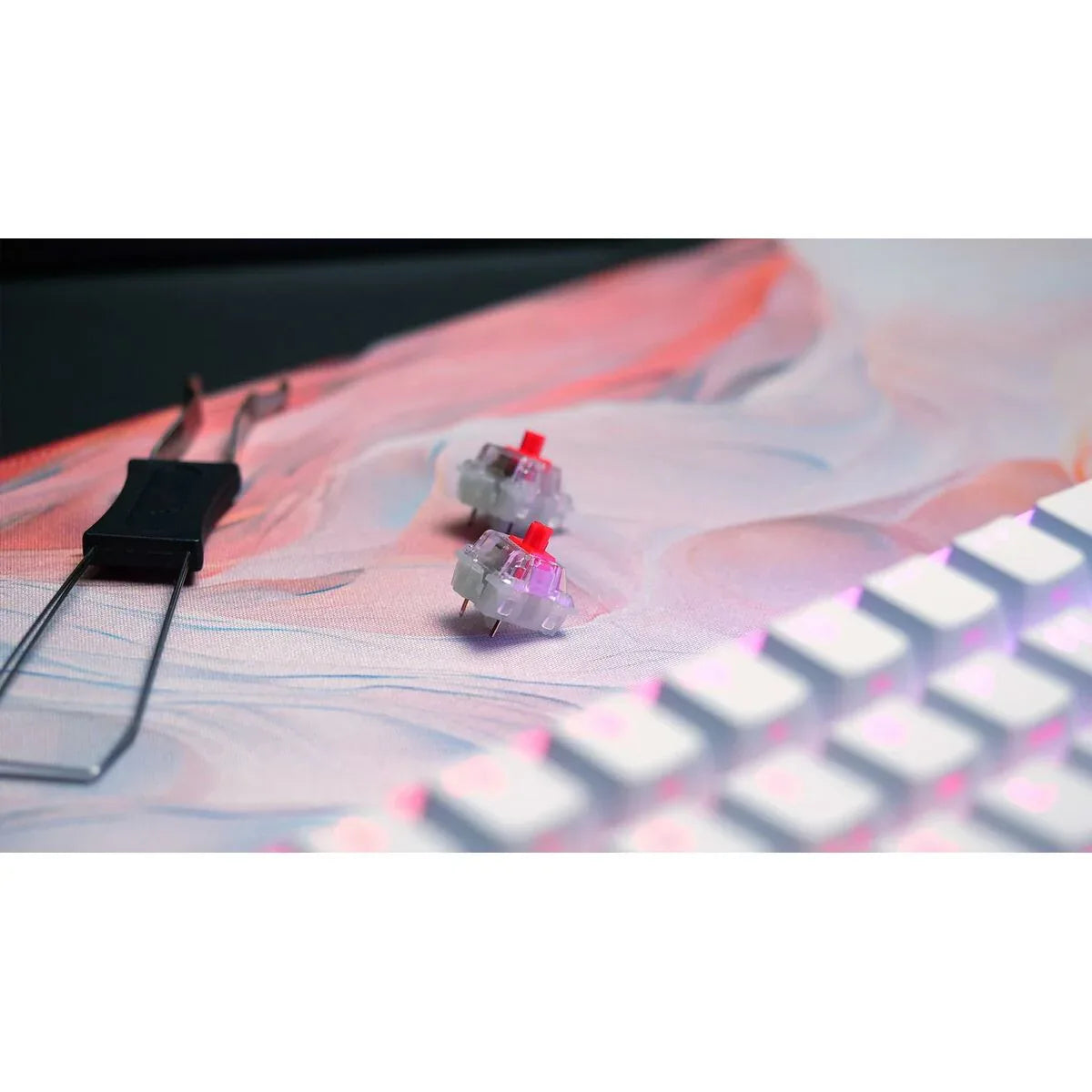 V7H0F43EBD4B2A92959093E22650BBEA88BR7221291P6