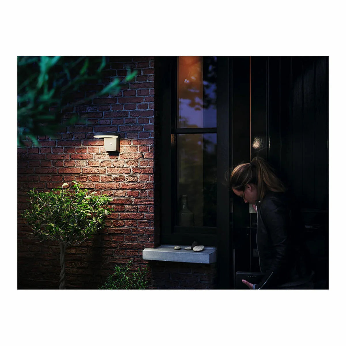 V6H911233A78B999074E89DAD94F6615615R4545243P7