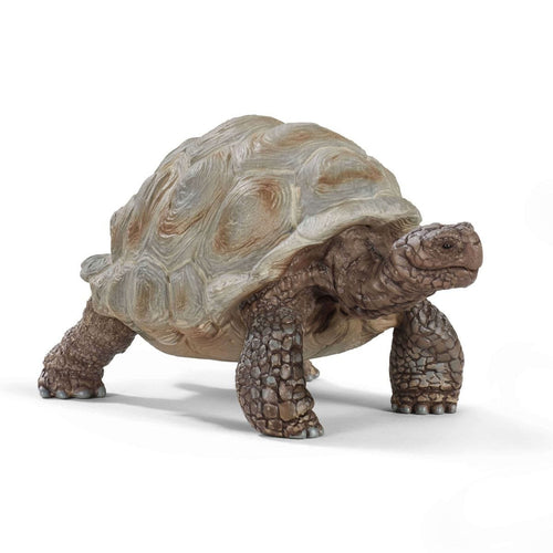 Schleich Vida Salvaje Giant Tortoise — image 1
