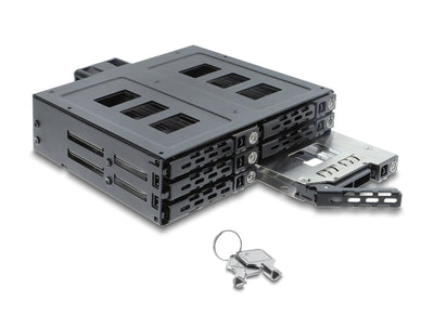 Delock 5.25? Bastidor Removable 6 X 2.5? SATA Or Sas HDD SSD With Lock — image 1