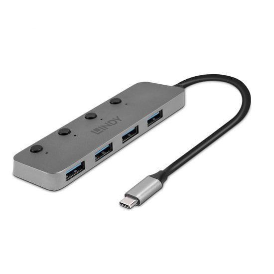 Lindy 43383 Hub Interfaz USB 3.2 Gen 1 (3.1 Gen 1) Type-c 5000 Mbit/S Grey