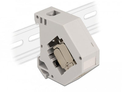 Delock 86014 Adapter Carril Din With Módulo Keystone RJ45 Female CAT.6A Lsa — image 1