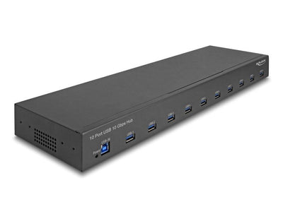 Delock 64240 Hub 19 10 X USB 10Gbps Tipo-a — image 1